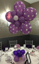Load image into Gallery viewer, Balloon Flower Garden - Magnolia&#39;s-Delights